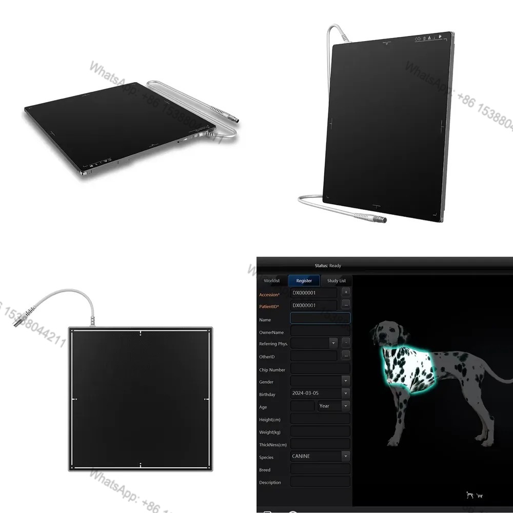 2026年ホットセール 1717インチ AEC Tech C - I Tech Accessories のレビューと価格