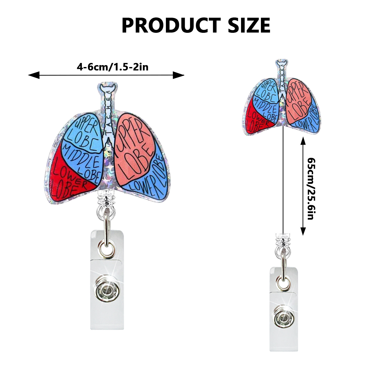 アクリル心臓肺脳腎臓格納式プルバッジリールナースドクター I - Xray Tech Accessories のレビューと価格